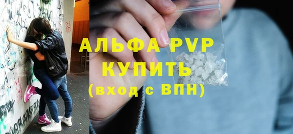 индика Абинск