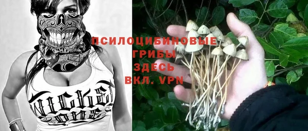 бошки Долгопрудный