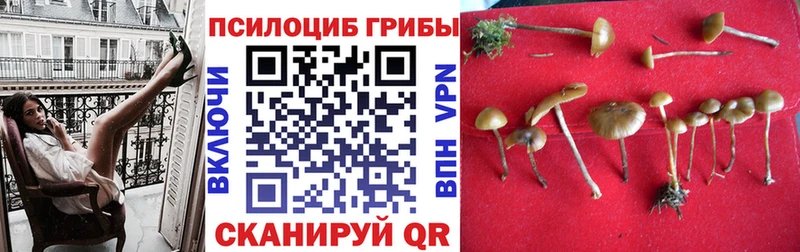 Псилоцибиновые грибы MAGIC MUSHROOMS  Дивногорск 